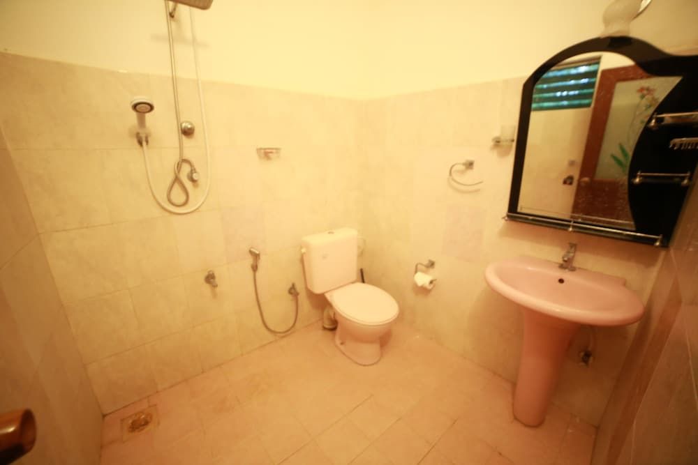 Indi Rose Garden Rose Elina 2