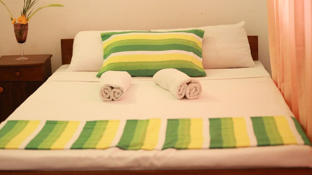 Indi Rose Garden Rose Livia 2