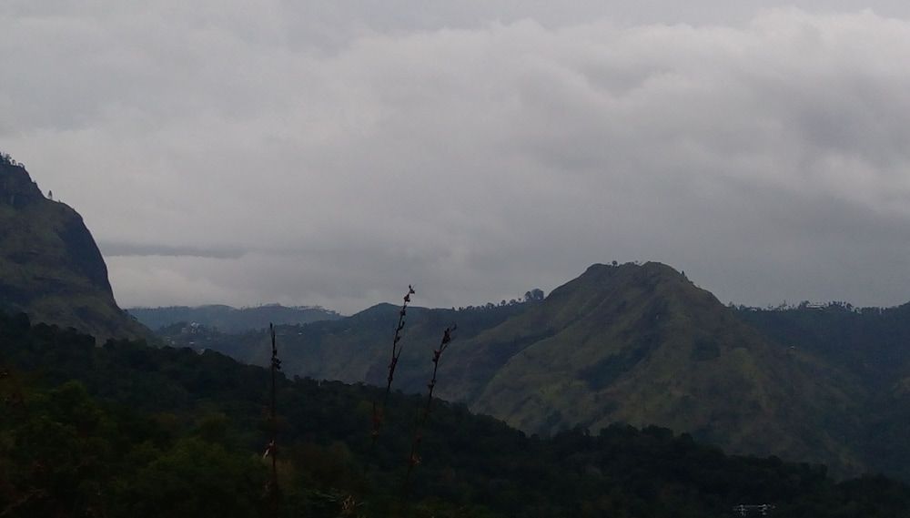 undefined go camping 9