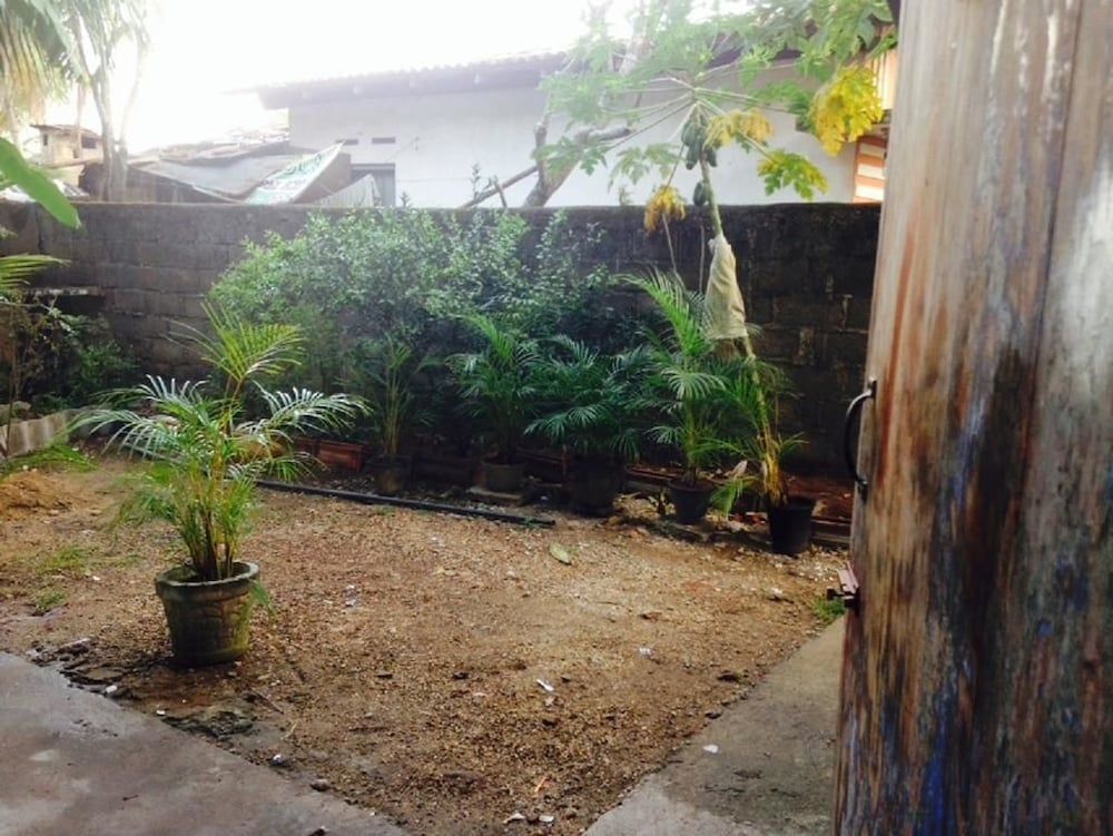 undefined Villahredpalm 9