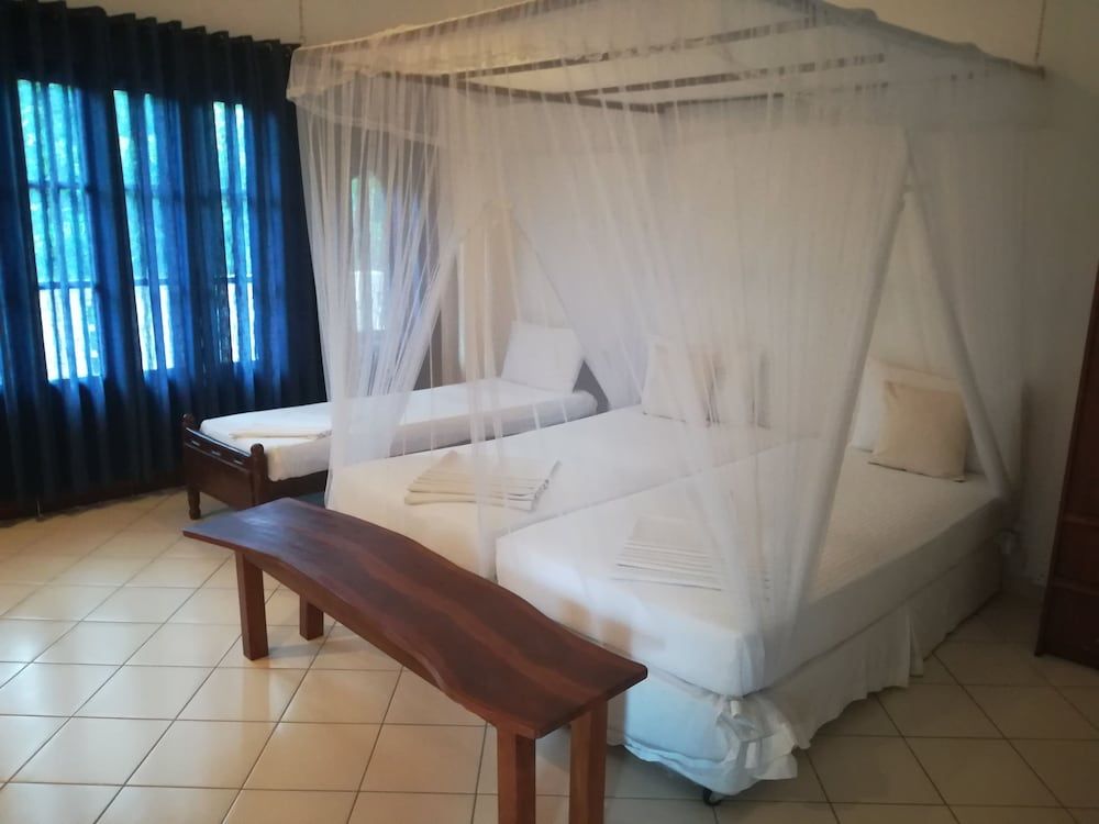 Family Room, Multiple Beds