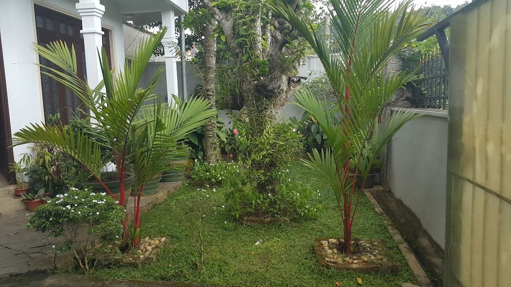 undefined Resident View Homestay 7