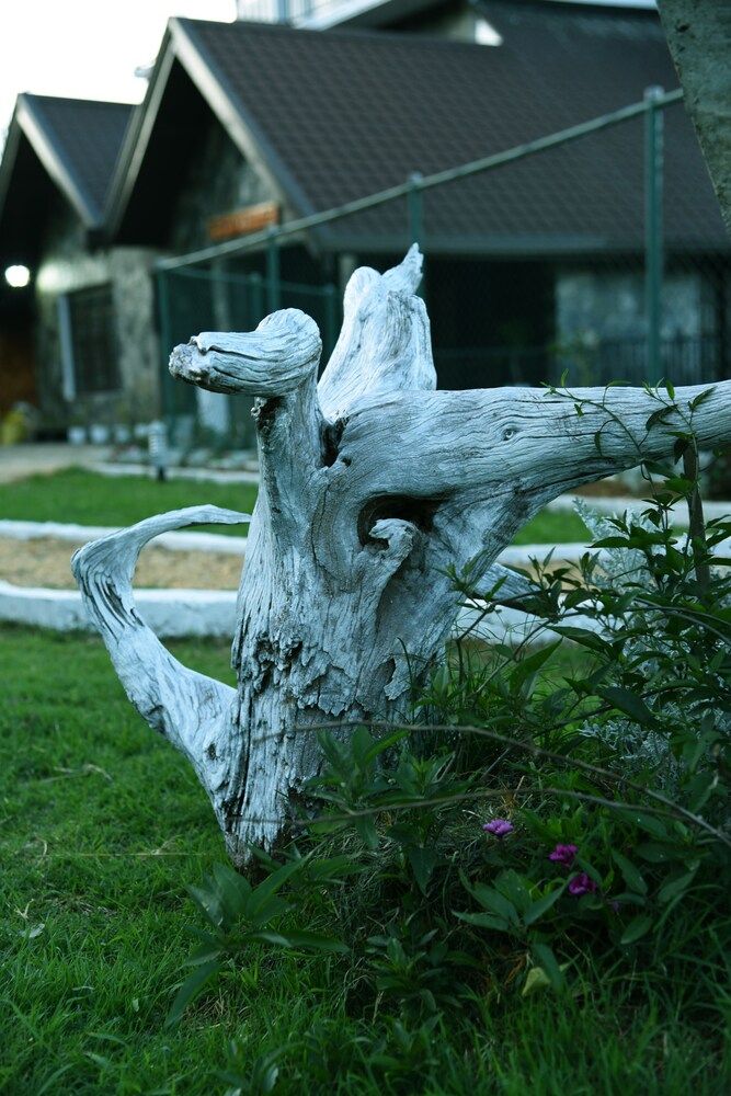 undefined Top Venice 5