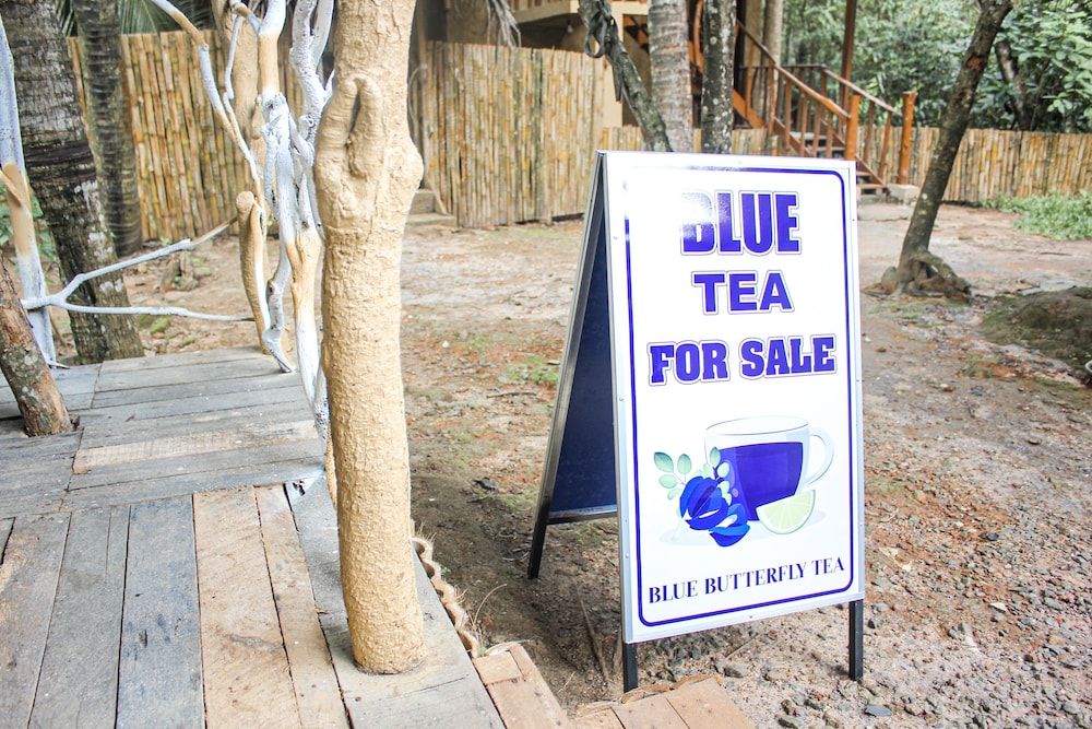 Children's Play Area