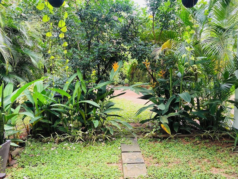 undefined Fairview Dill homestay 9