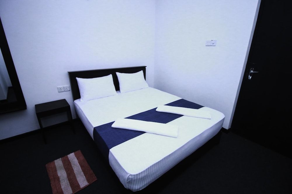 undefined Yoho Bro Colombo 03 2