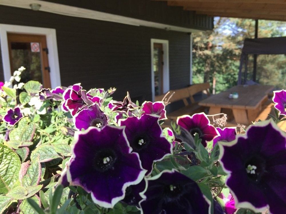 Kaimo Turizmo Sodyba Geras Economy House, 2 Bedrooms 9