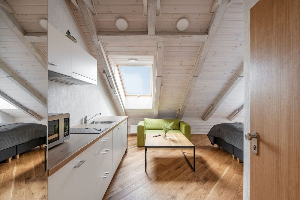 Piano Apartments Family Studio Suite, 1 Queen Bed with Sofa bed, River View 15