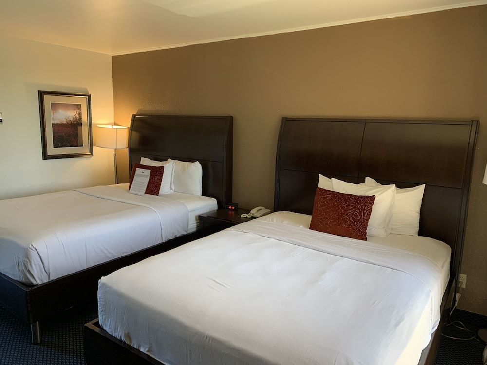 Room, 2 Double Beds, Non Smoking