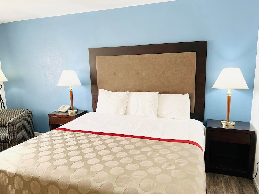 Room, 1 King Bed, Non Smoking