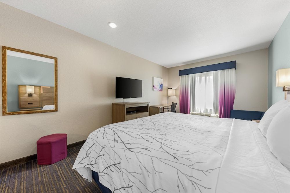 Standard Room, 1 King Bed, Non Smoking, Microwave