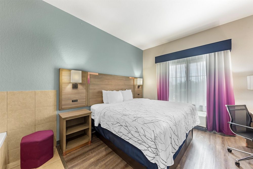 Standard Room, 1 King Bed, Non Smoking, Jetted Tub
