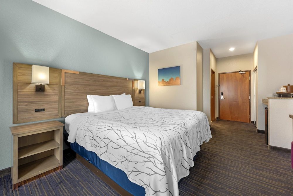 Standard Room, 1 King Bed, Non Smoking, Microwave