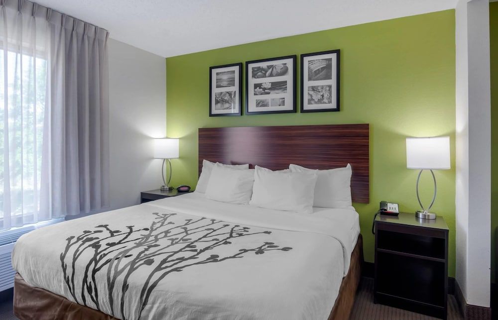 Room, 1 King Bed, Accessible, Non Smoking