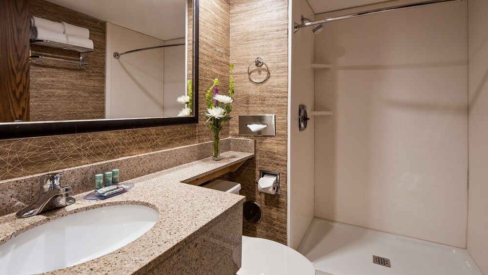 Best Western Detroit Livonia Suite, 1 King Bed, Non Smoking, Kitchenette (1st Floor) 6