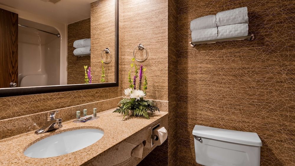 Best Western Detroit Livonia Standard Room, 1 King Bed, Non Smoking, Refrigerator & Microwave 11