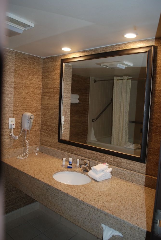 Best Western Detroit Livonia Standard Room, 1 King Bed, Non Smoking, Refrigerator & Microwave 12