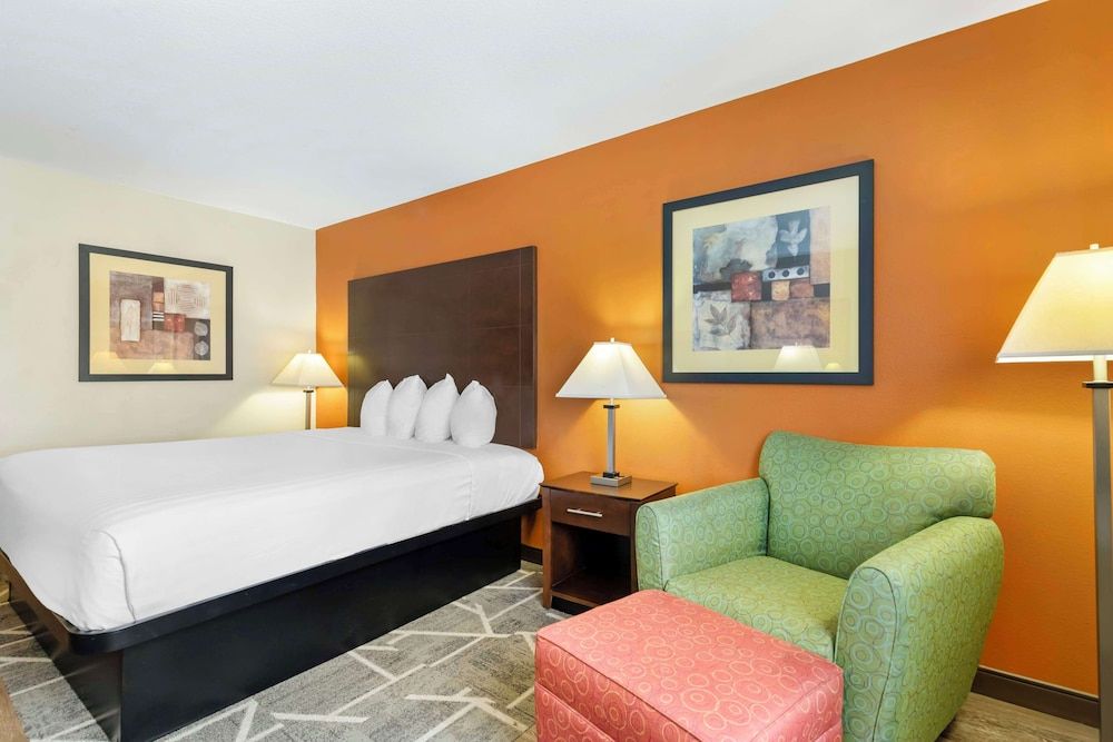 Standard Room, 1 King Bed, Non Smoking, Refrigerator & Microwave (Interior)