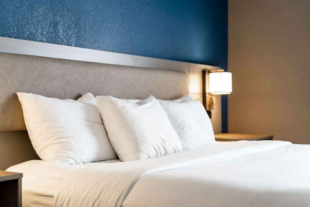 Suite, 1 King Bed with Sofa bed, Accessible, Non Smoking