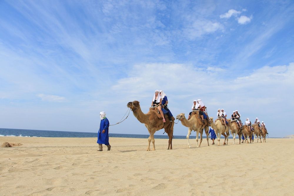 Garza Blanca Resort & Spa Los Cabos Junior Suite 1 King Bed 7