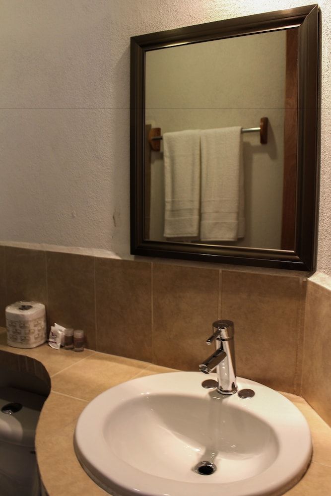 Axkan Arte Hotel Tuxtla Standard Room, 1 King Bed, Garden View 4