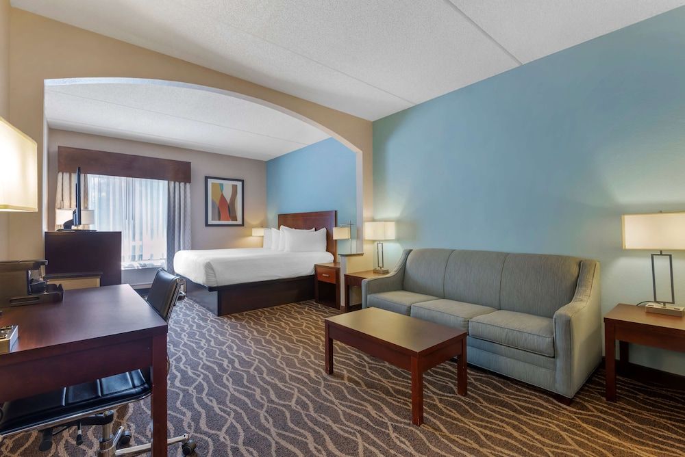 Suite, 1 King Bed, Non Smoking, Refrigerator & Microwave (with Sofabed)
