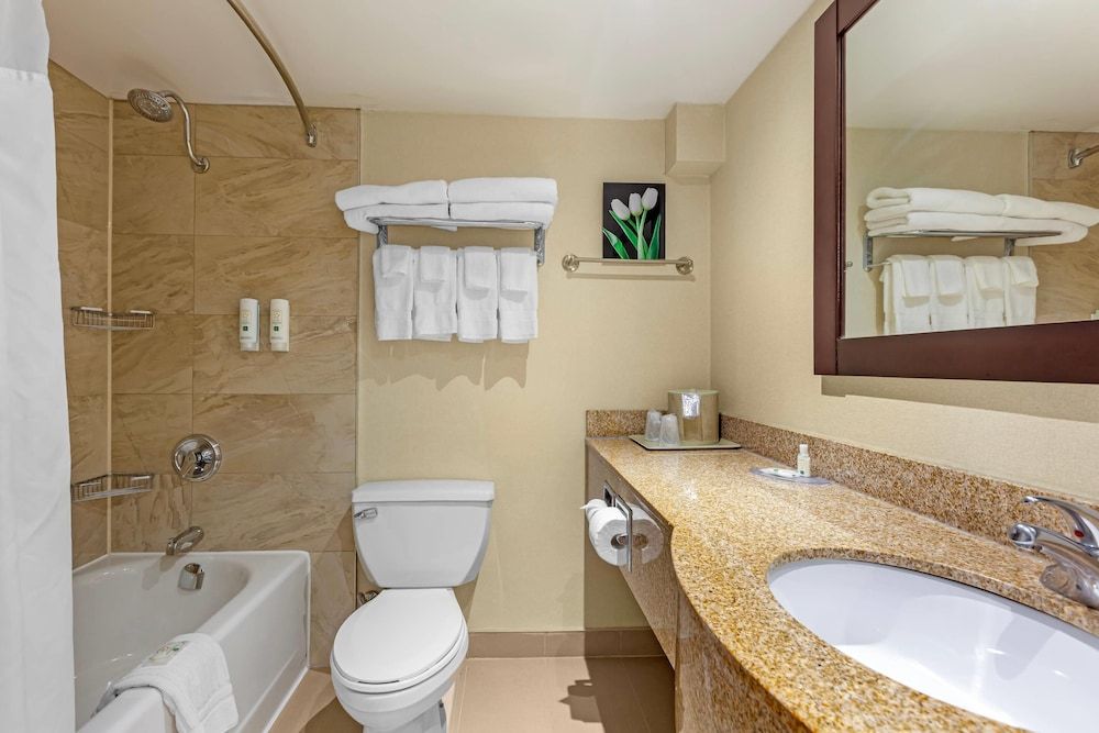 Quality Inn & Suites Standard Room, 2 Queen Beds, Non Smoking 3