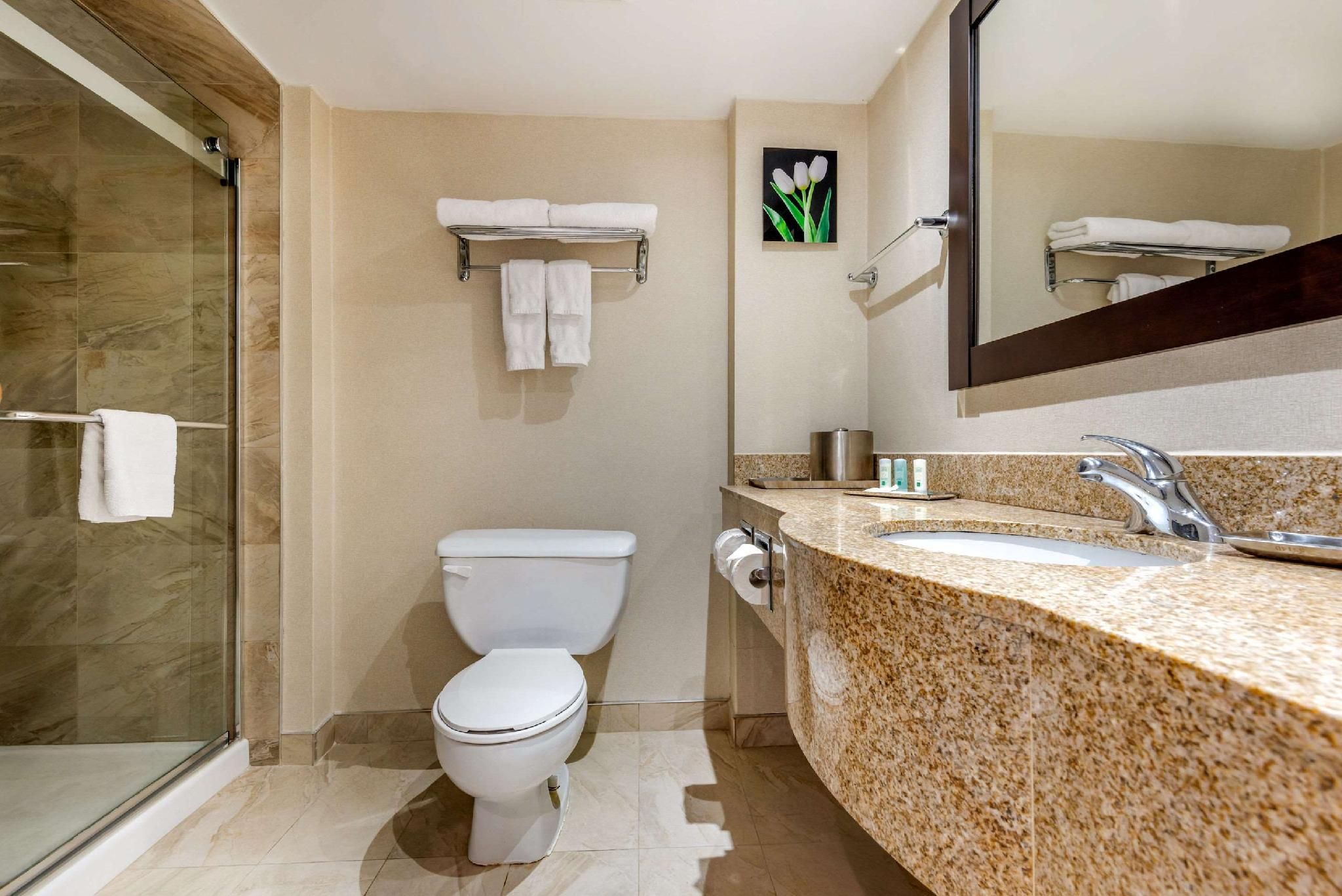 1 King Bed, Suite, Non Smoking