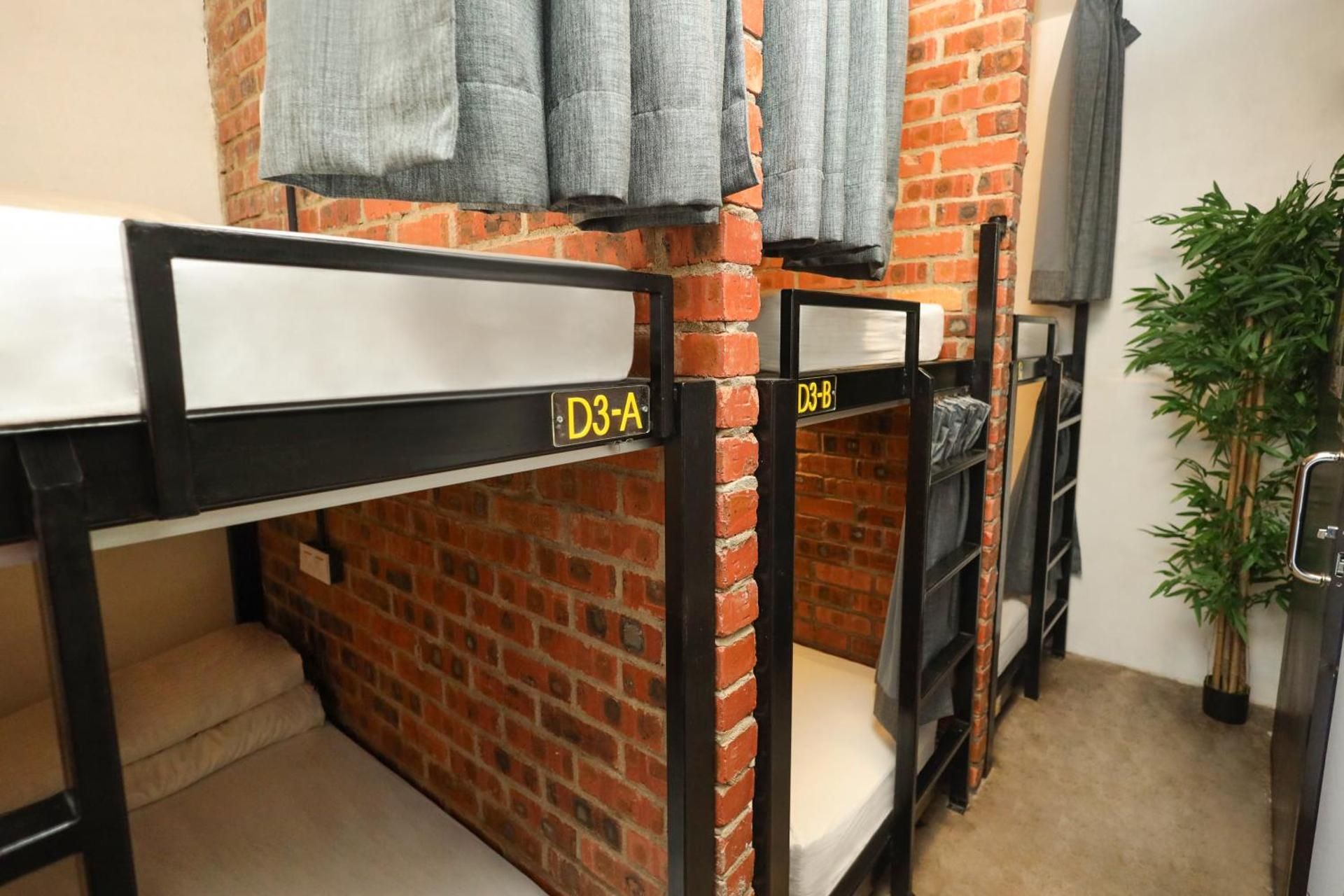 Bunk Bed in Mixed Dormitory Room