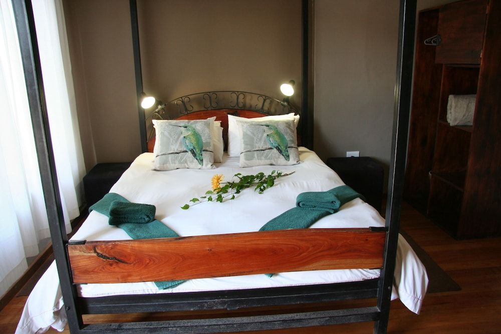 Dunedin Star Guesthouse Standard Double Room, 1 Double Bed 3