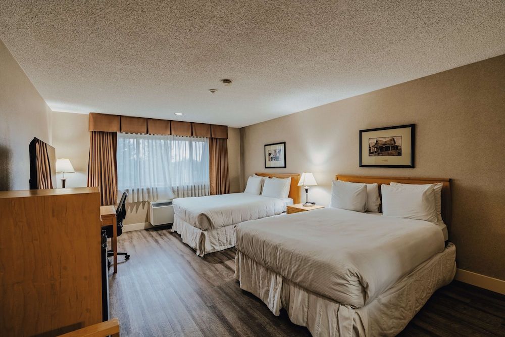 Standard Room, 2 Queen Beds, Non Smoking, Refrigerator & Microwave