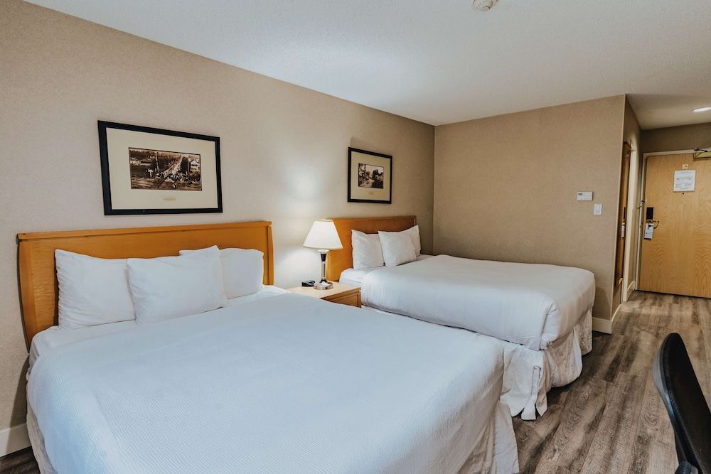 Standard Room, 2 Queen Beds, Non Smoking, Refrigerator & Microwave (Pet Friendly)