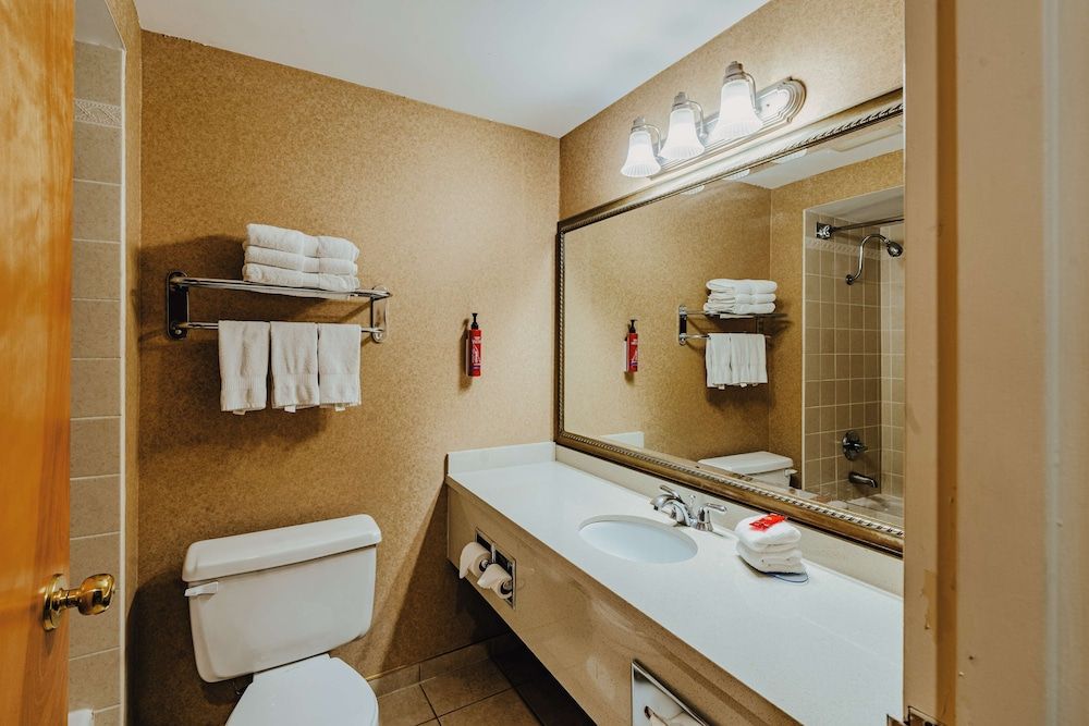 SureStay Plus by Best Western Coquitlam Suite, 2 Queen Beds, Non Smoking, Kitchenette 4