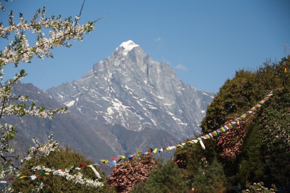 Himalaya Lodge Deluxe Room 2