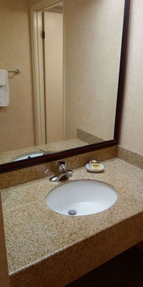 Best Western Plus Otonabee Inn Standard Room, 2 Queen Beds, Non Smoking, Refrigerator & Microwave 2