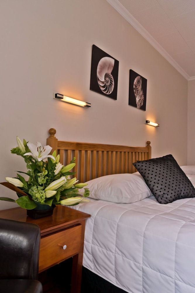 Studio, Multiple Beds