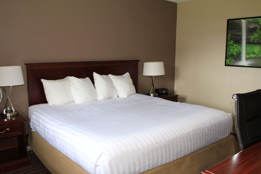 Room, 1 King Bed, Non Smoking