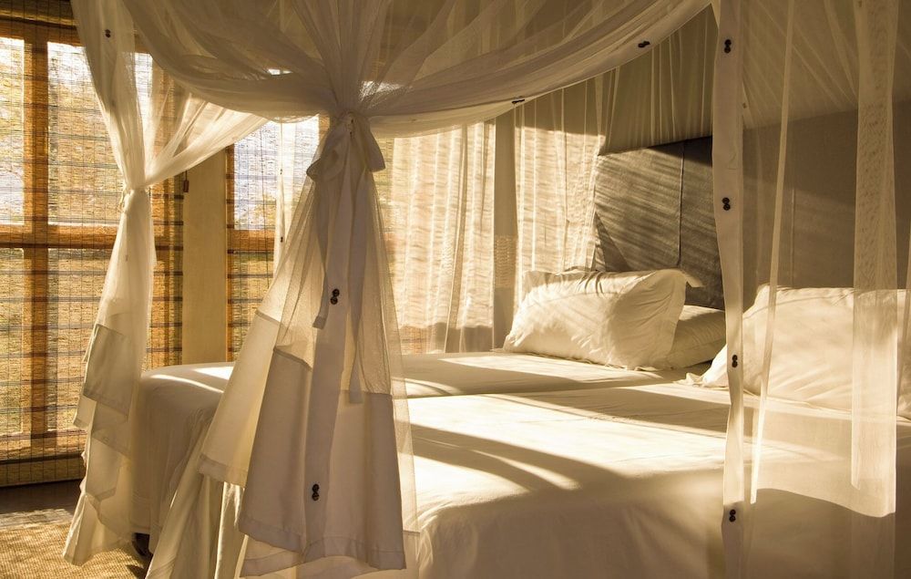 Divava Okavango Resort & Spa Luxury Twin Room, 2 Twin Beds 2