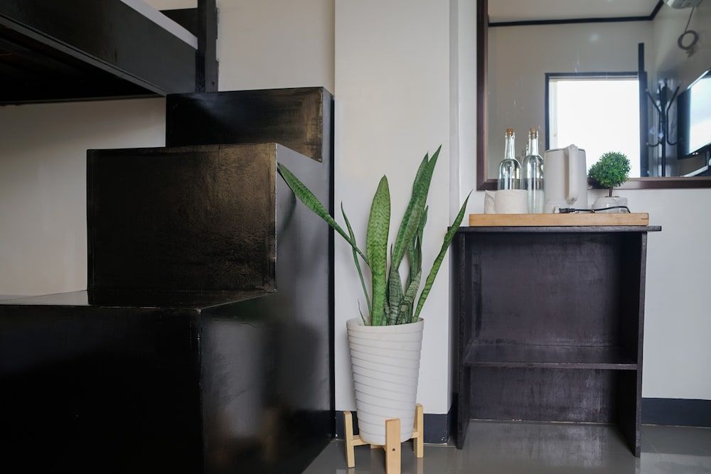 The Palms Resort & Bar Family Room 24