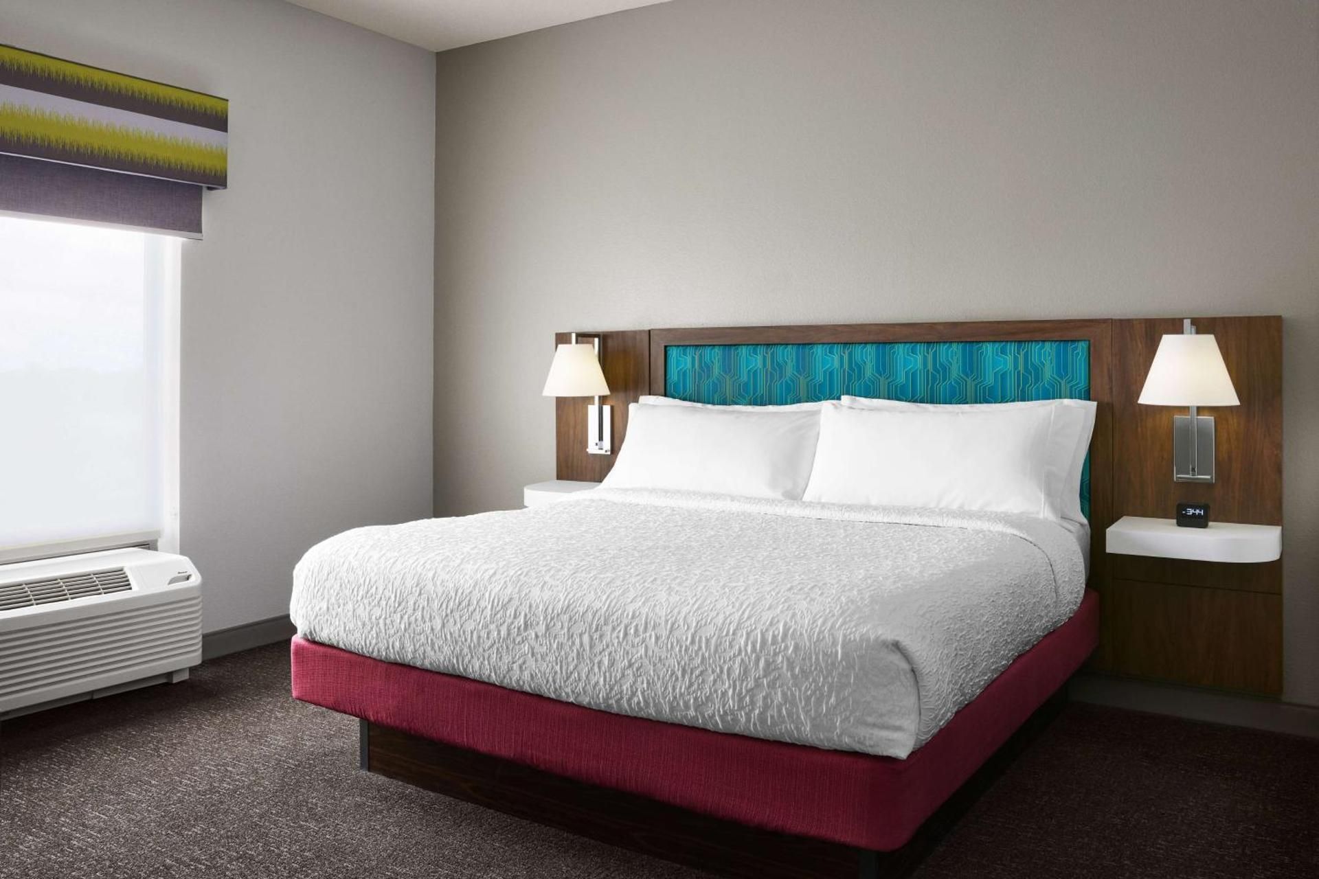 1 king bed 1 bdrm suite w/ sofabed nonsmoking