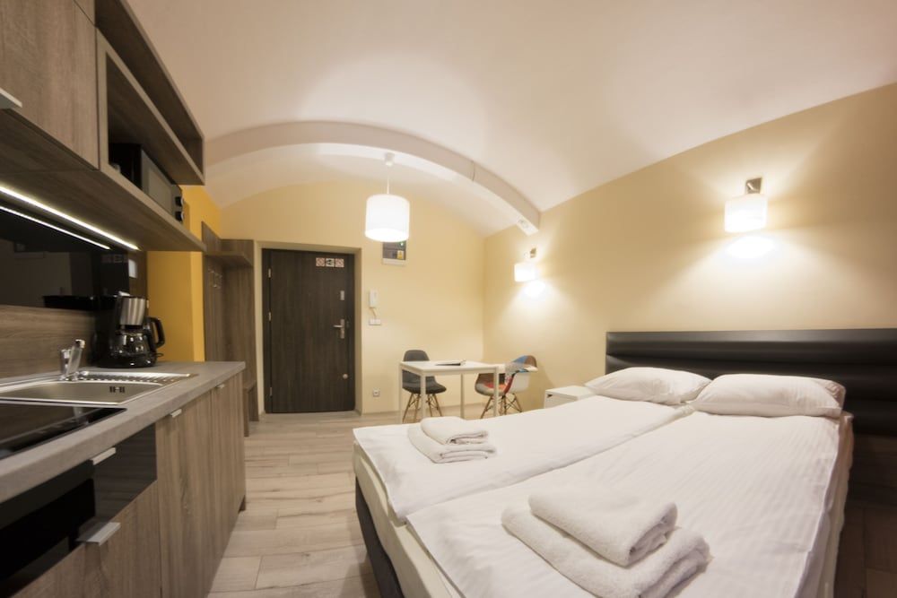 Studio (Apartment level -1 Mickiewicza Street)