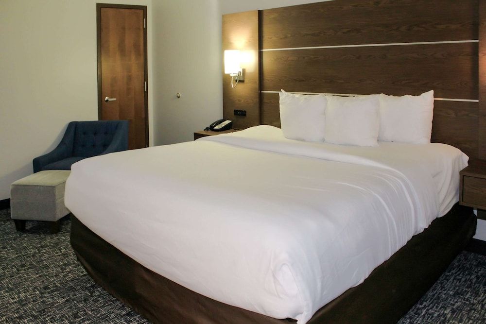 Standard Room, 1 King Bed, Non Smoking