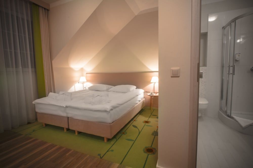 Wieniawa Spa & Wellness Luxury Double Room 2