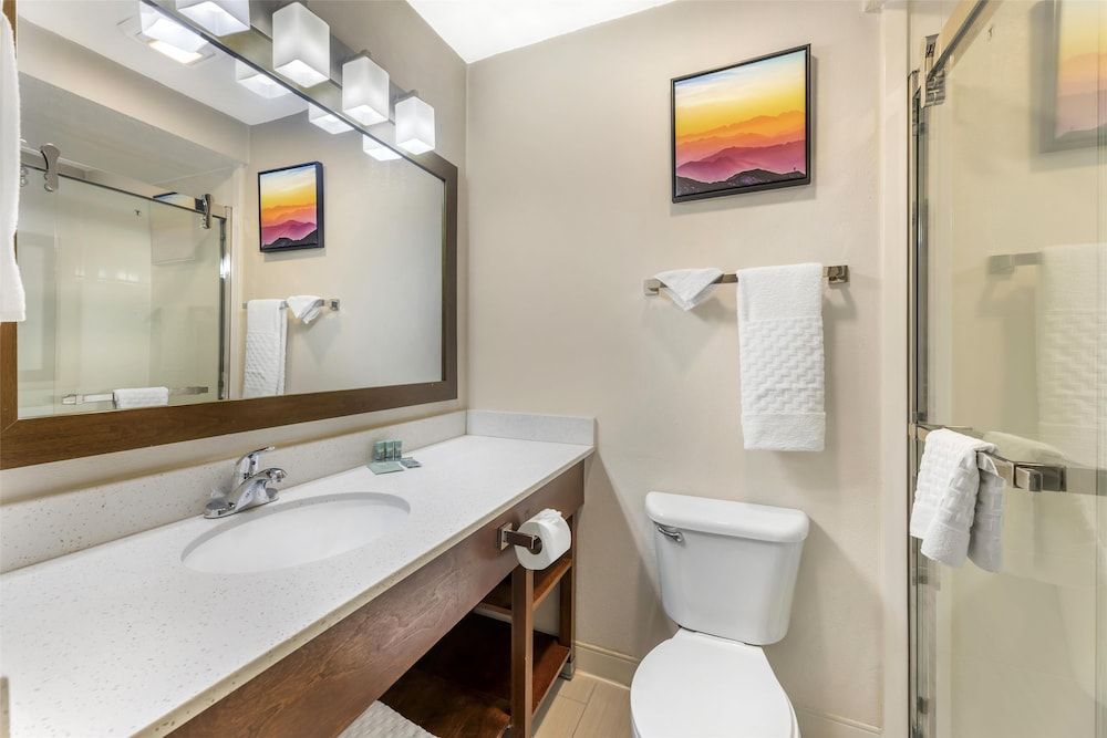 Best Western Joliet Inn & Suites Executive Room, 1 King Bed, Non Smoking, Refrigerator & Microwave (Shower Only) 7