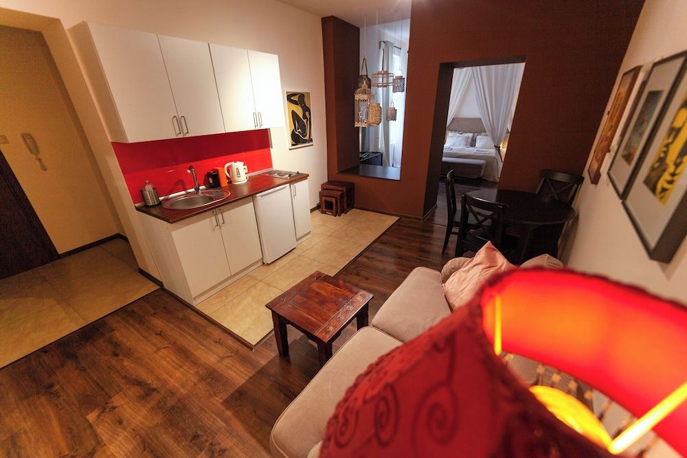 Lounge Apartments Deluxe Studio, Kitchenette 16