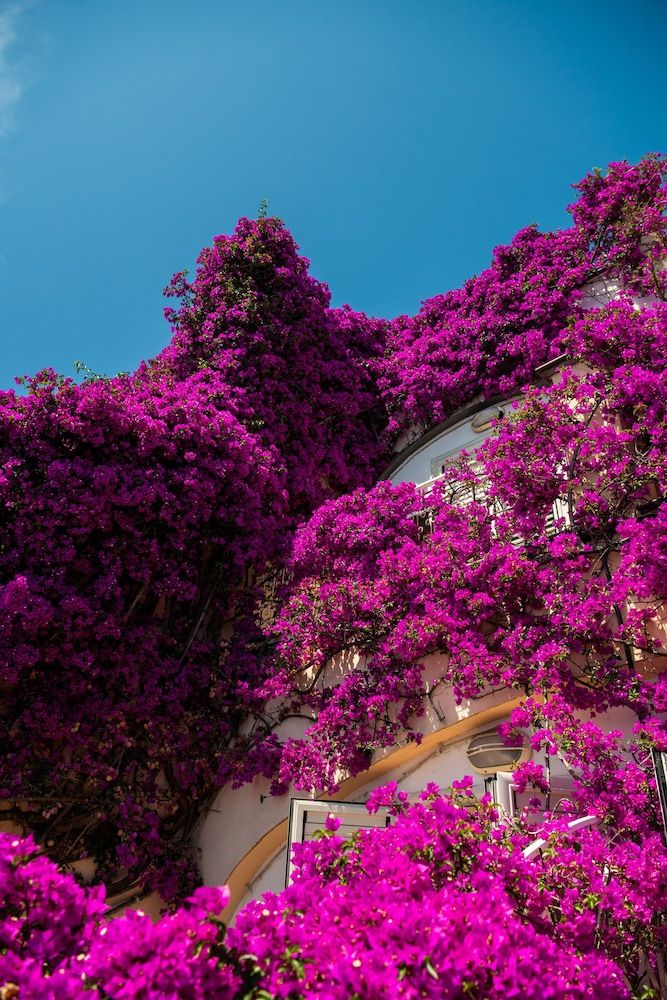 undefined Positano Art Hotel Pasitea 5