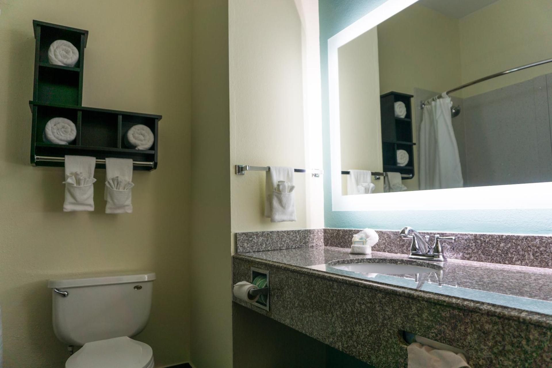 1 King Bed, NonSmoking, Pet Friendly Room