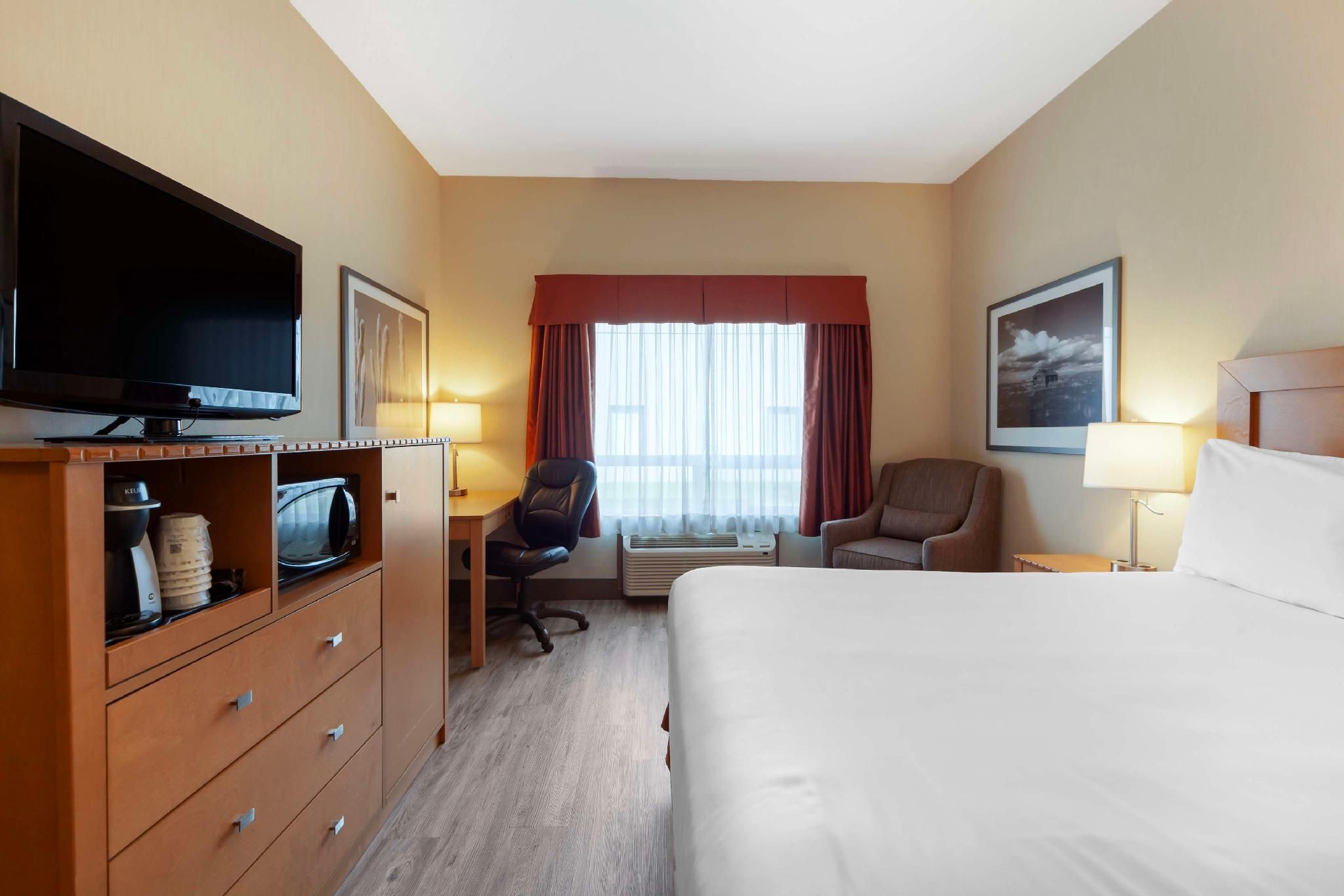 Accessibility - 1 Queen Bed, Nonsmoking, Roll-in Shower