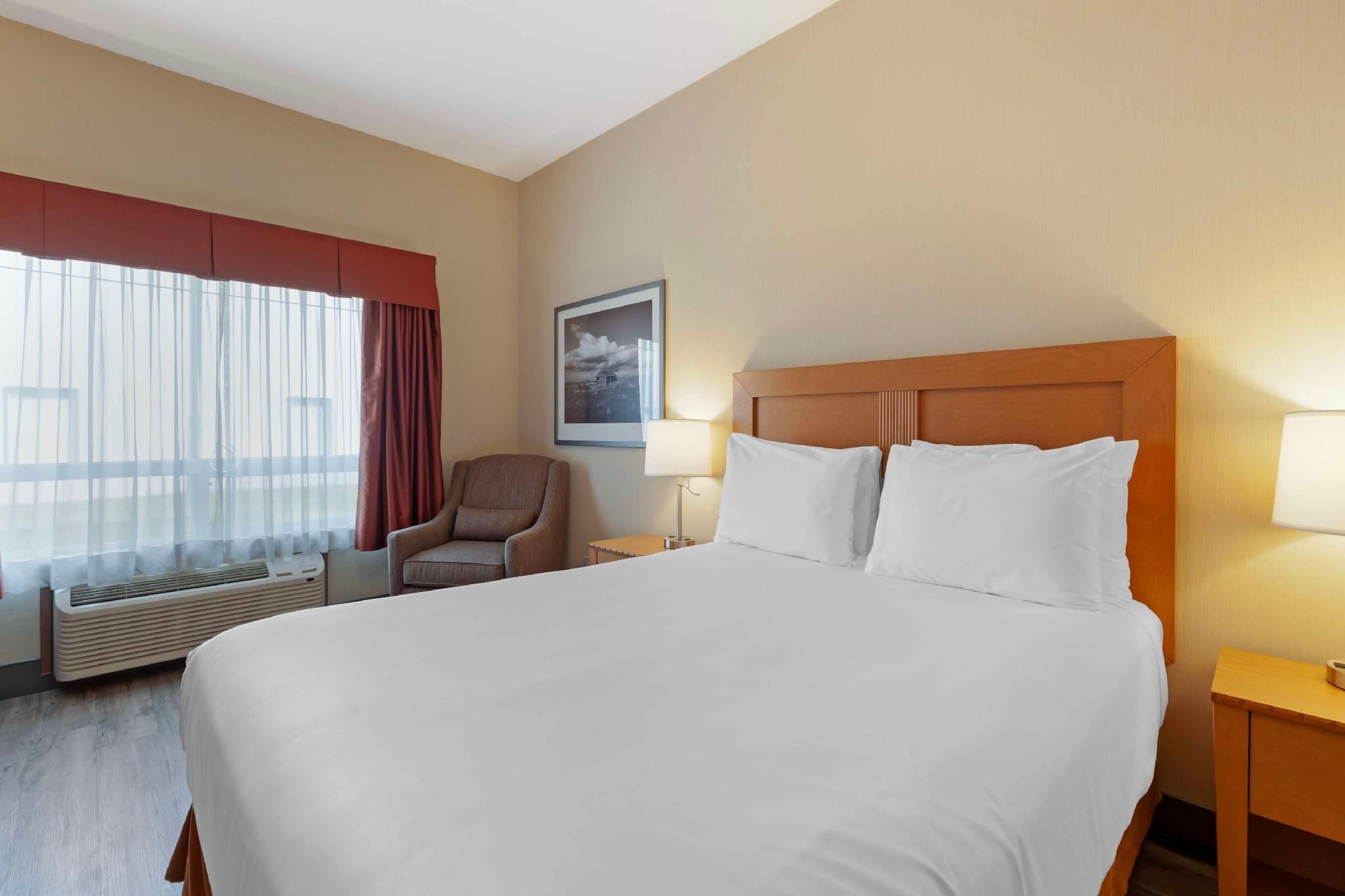 Accessibility - 1 Queen Bed, Nonsmoking, Roll-in Shower