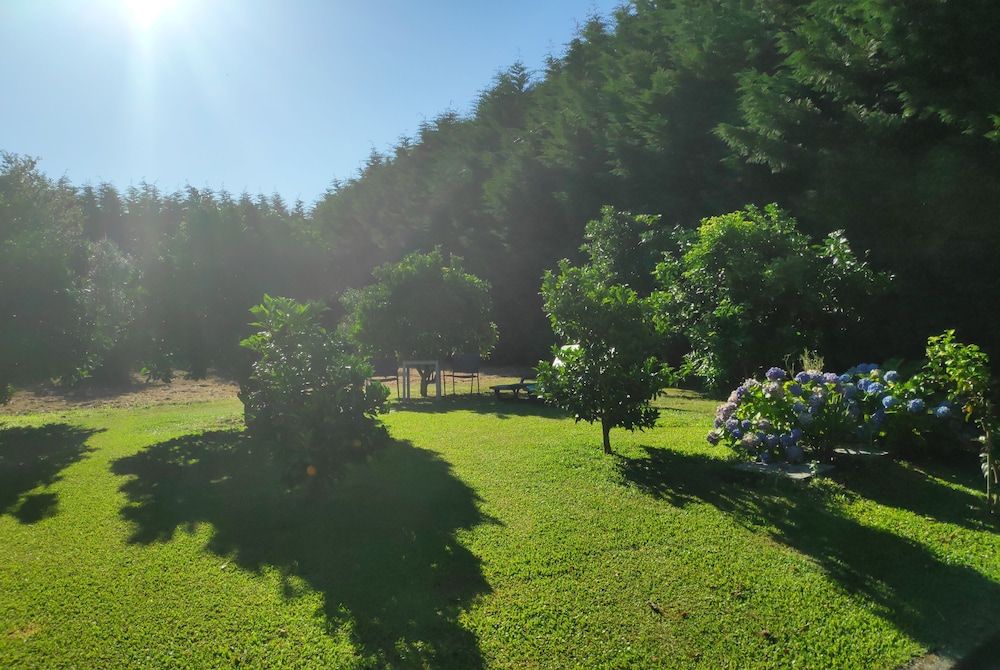 Casas da Quinta da Cancela Traditional Cottage, Multiple Beds, Kitchen, Garden Area (CASA DO TANQUE) 10